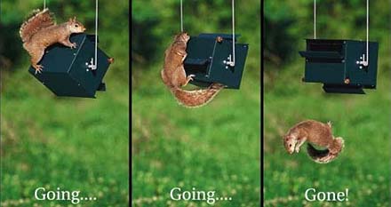rollerfeeder