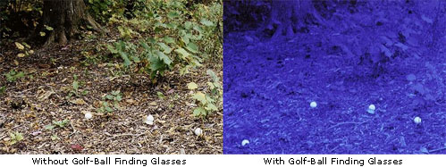 golfball-finder-woods.jpg