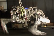 darpa-cheetah-robot