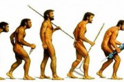 evolution