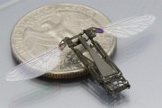 robobee