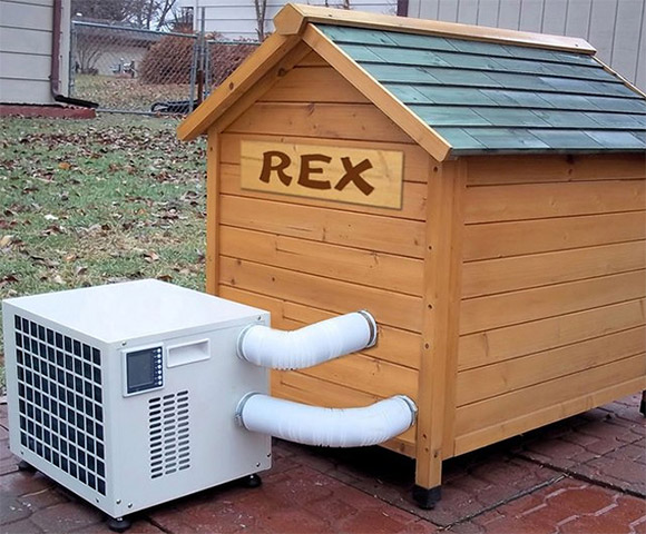climate controlled dog house