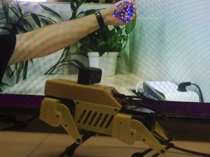 Mini Pupper, robotics, AI, robot, bot